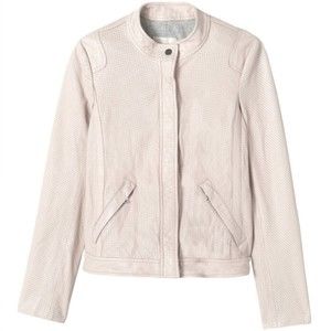 REBECCA TAYLOR Perforated Lamb Leather Bomber Moto Zip Up Pink Jacket Women's 8